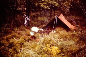 Camping Near Hazelton