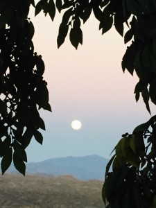 Moon Rise Over the Mazatzals