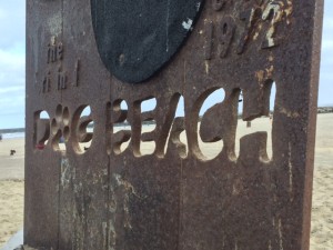 Dog Beach, California